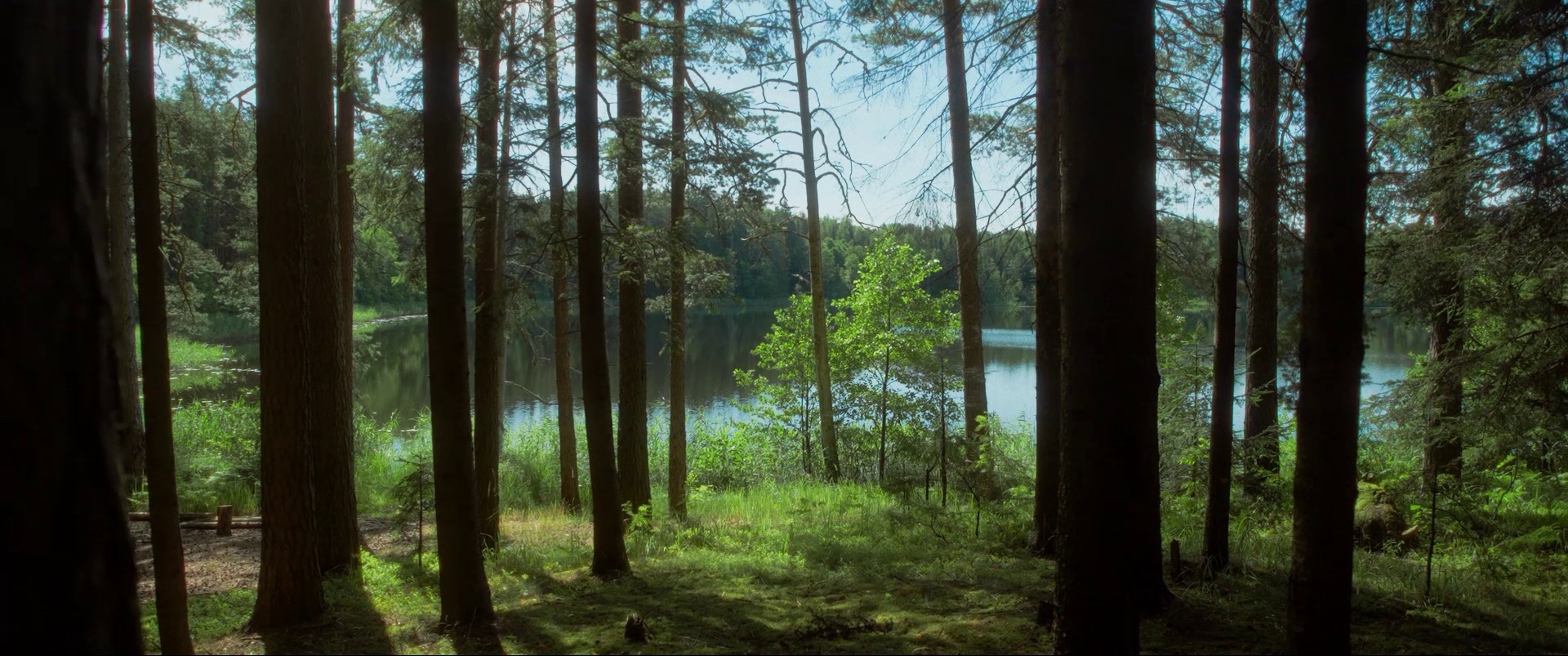 406240180 122104878770124666 7263770482104761522 N