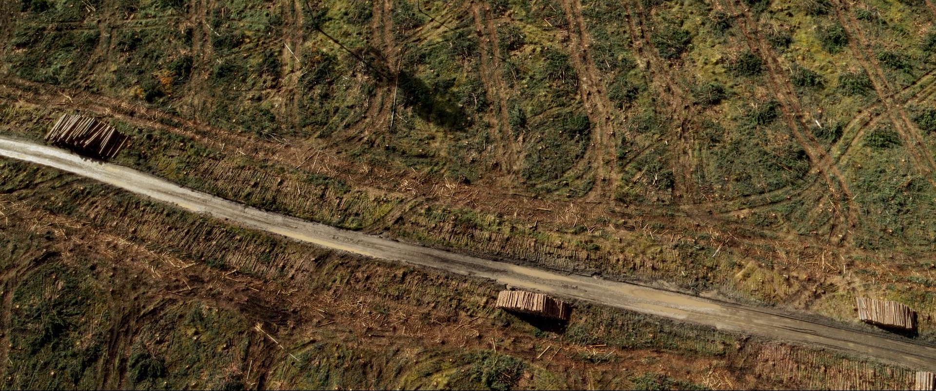 406269791 122104878296124666 7015622278507378904 N