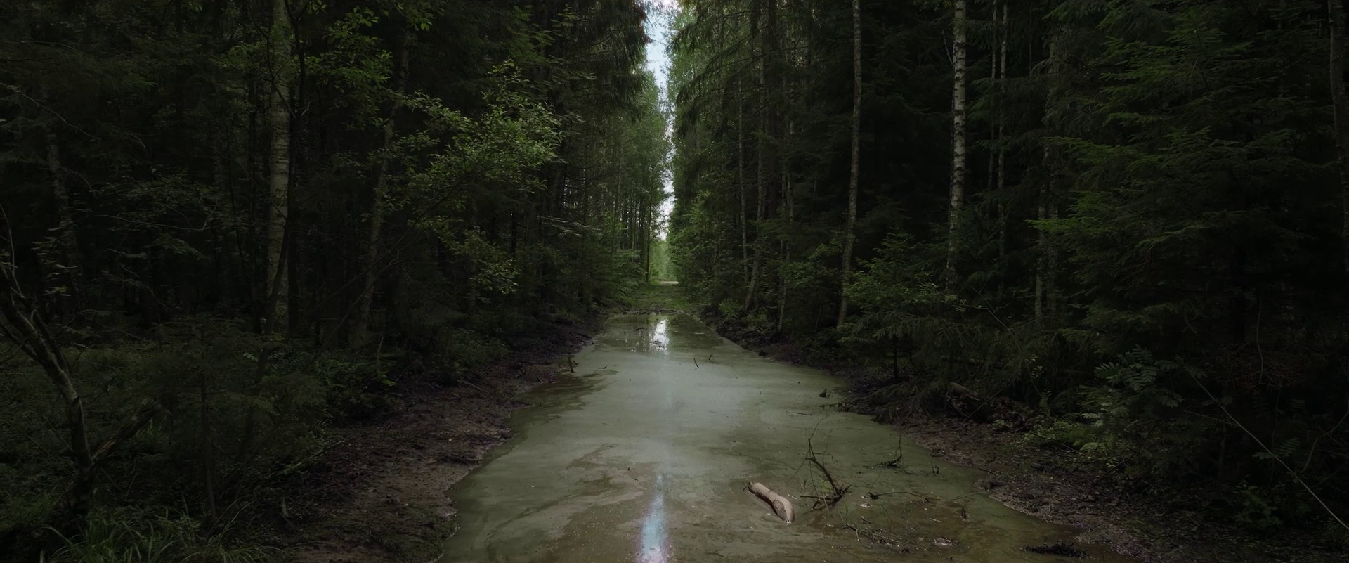 406278727 122104878014124666 357863606379887240 N