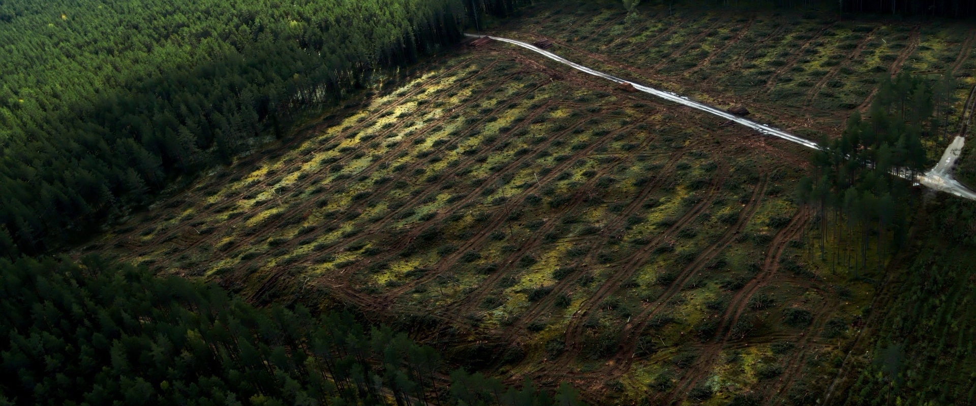 406334683 122104878032124666 1310513828355960083 N