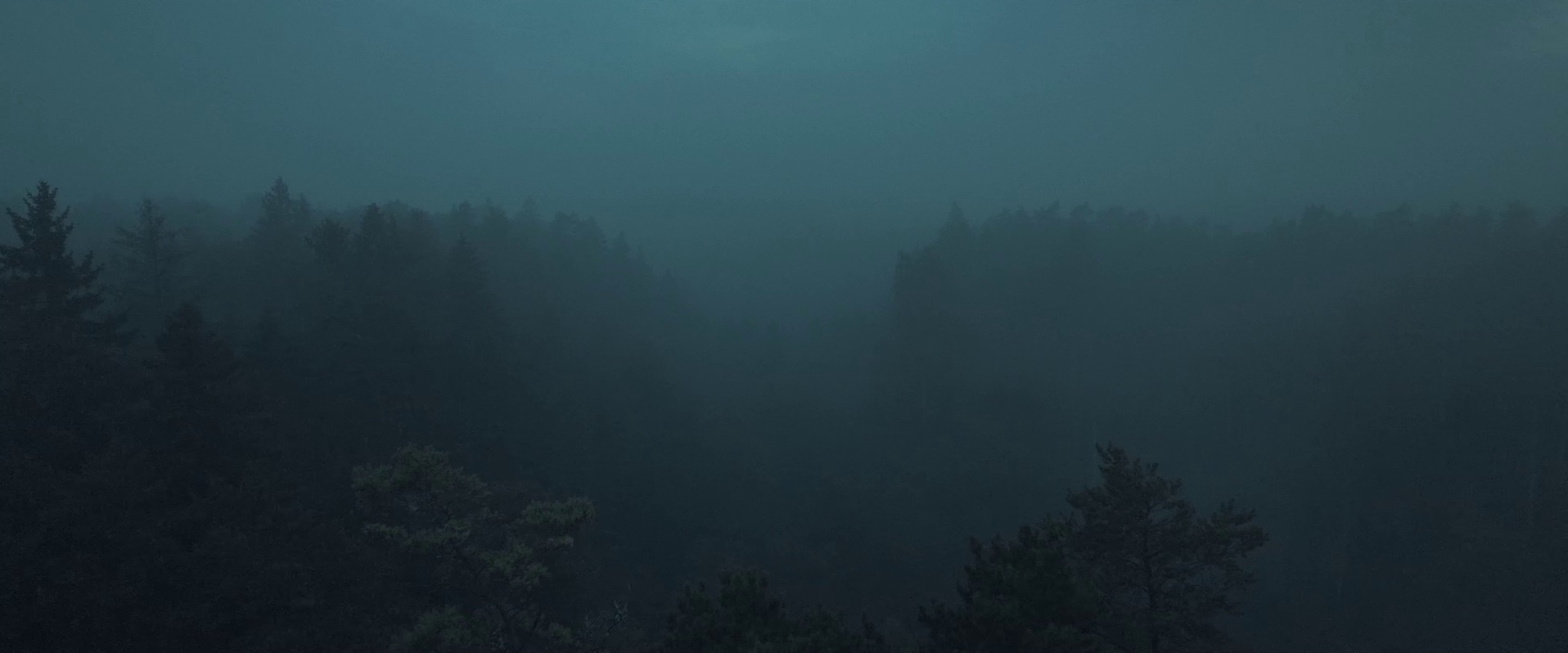 406314044 122104879130124666 3498890882601127049 N