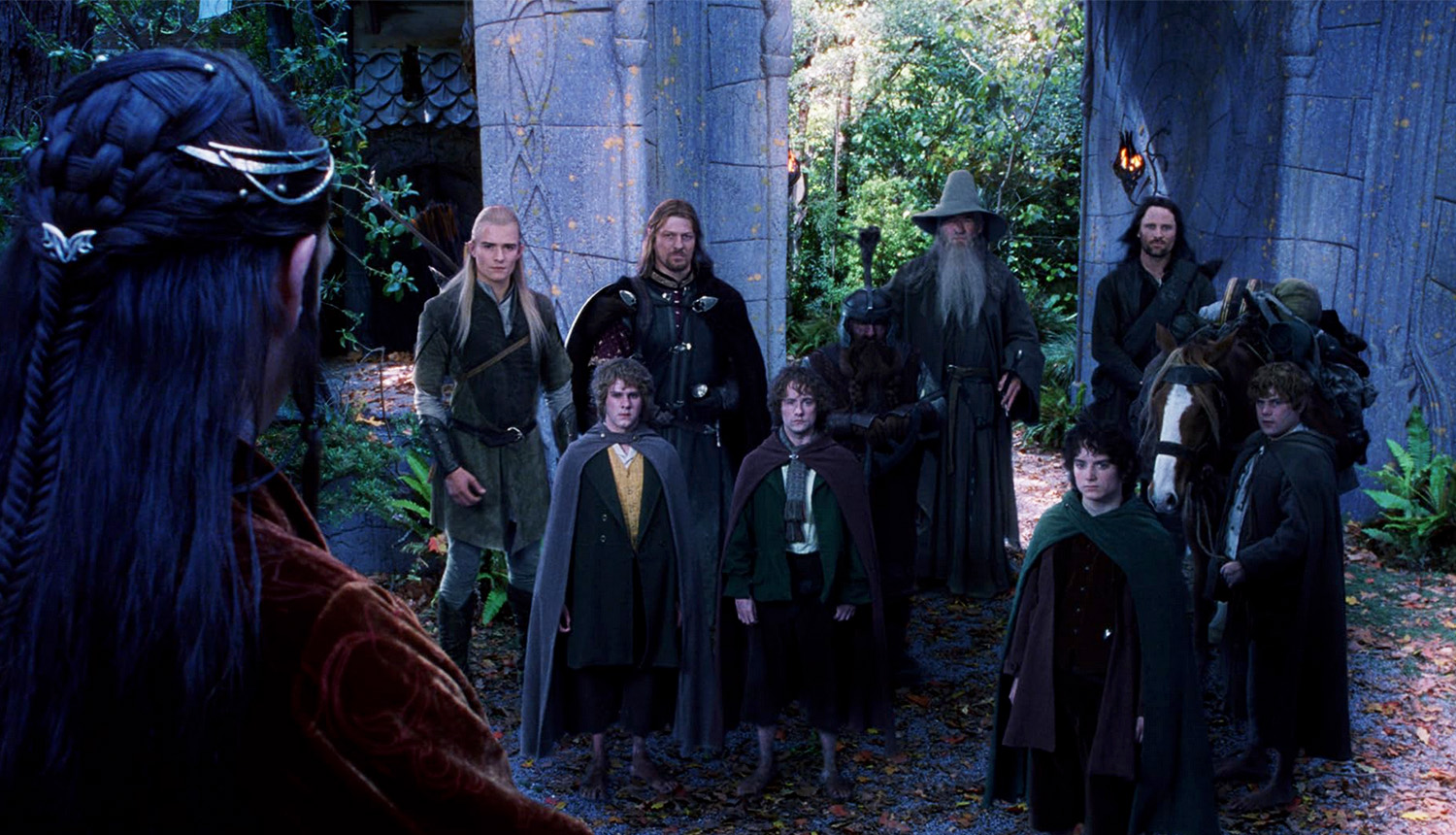 Fellowship Of The Ring