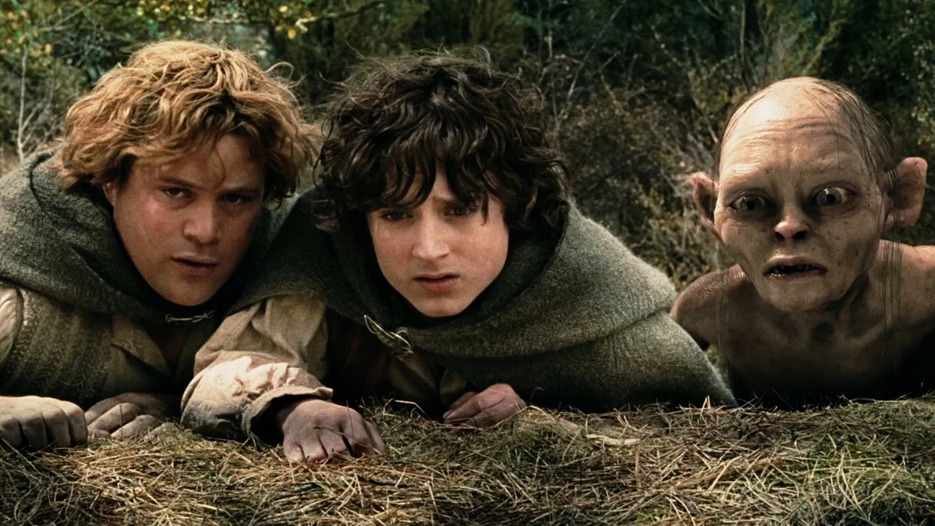The Lord Of The Rings The Two Towers 2 Fr 1748288473