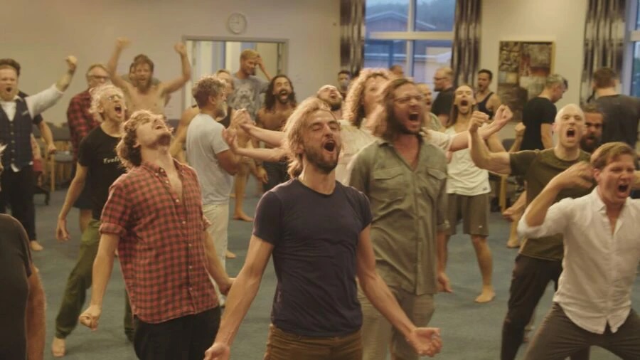 Rootsi mehe pihtimused