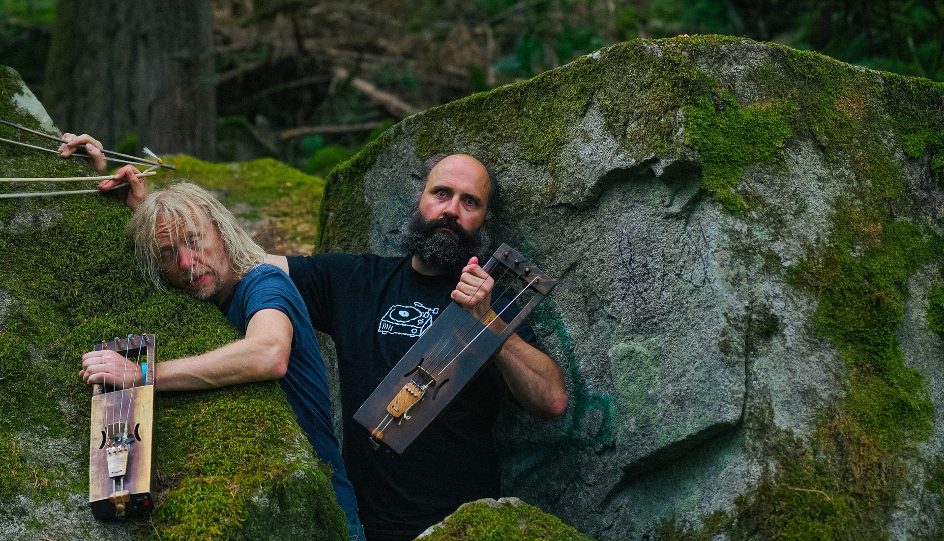 Puuluup - kaablid autos veel