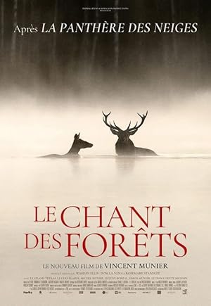 Film poster