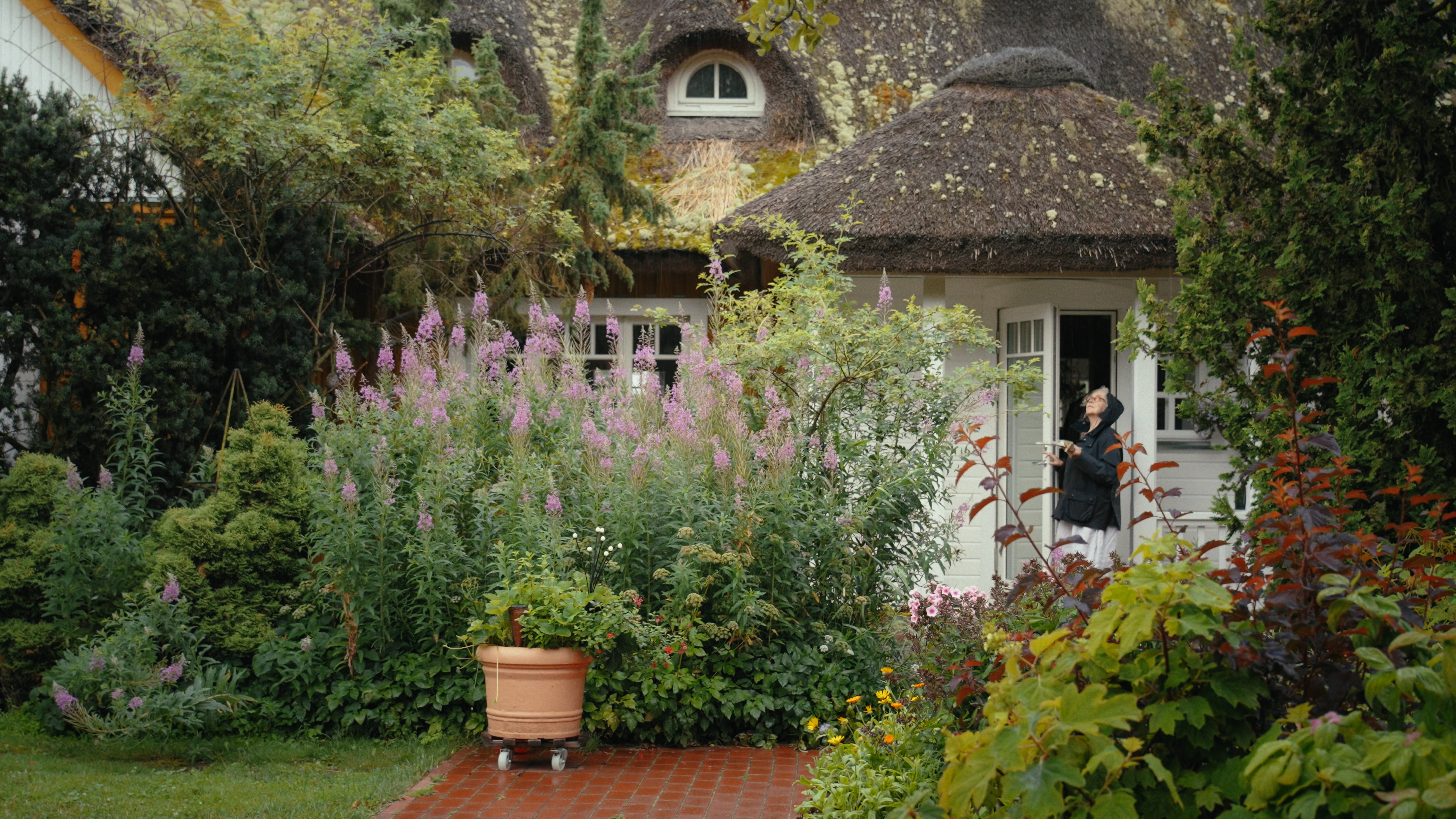 Elu Maalides Still V02 49