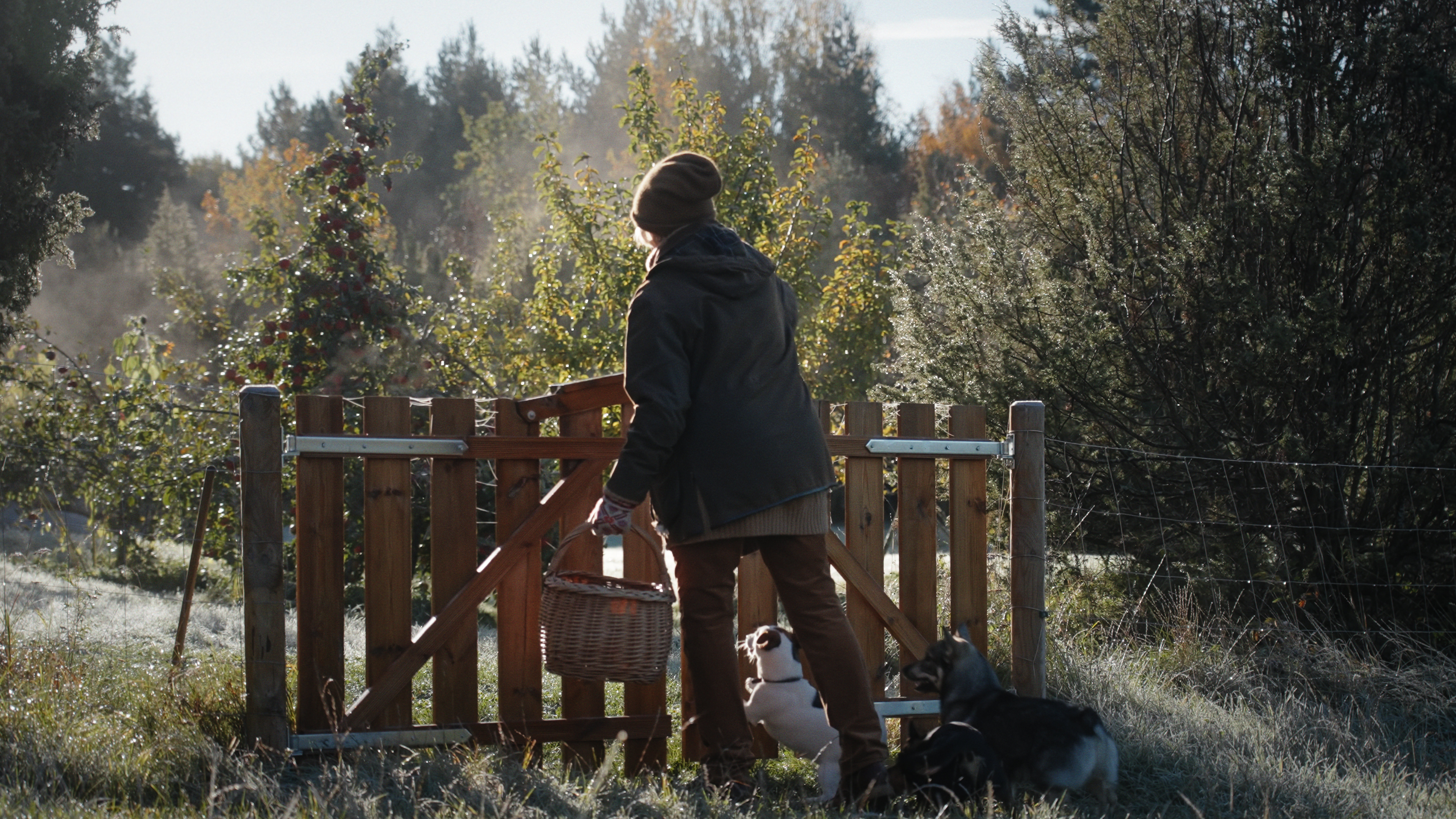 Elu Maalides Still V02 36