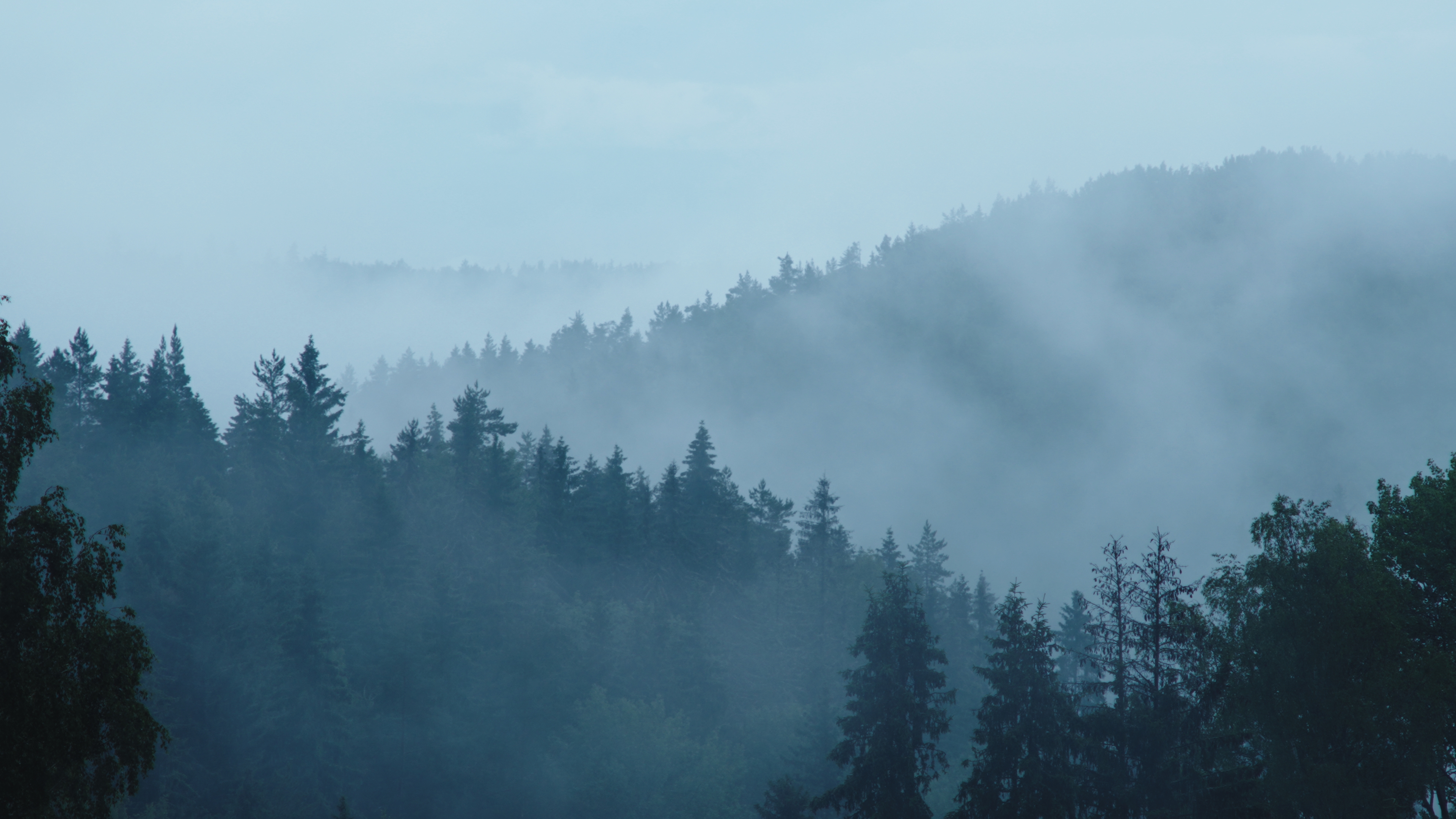 Laskumine Orgu Still9