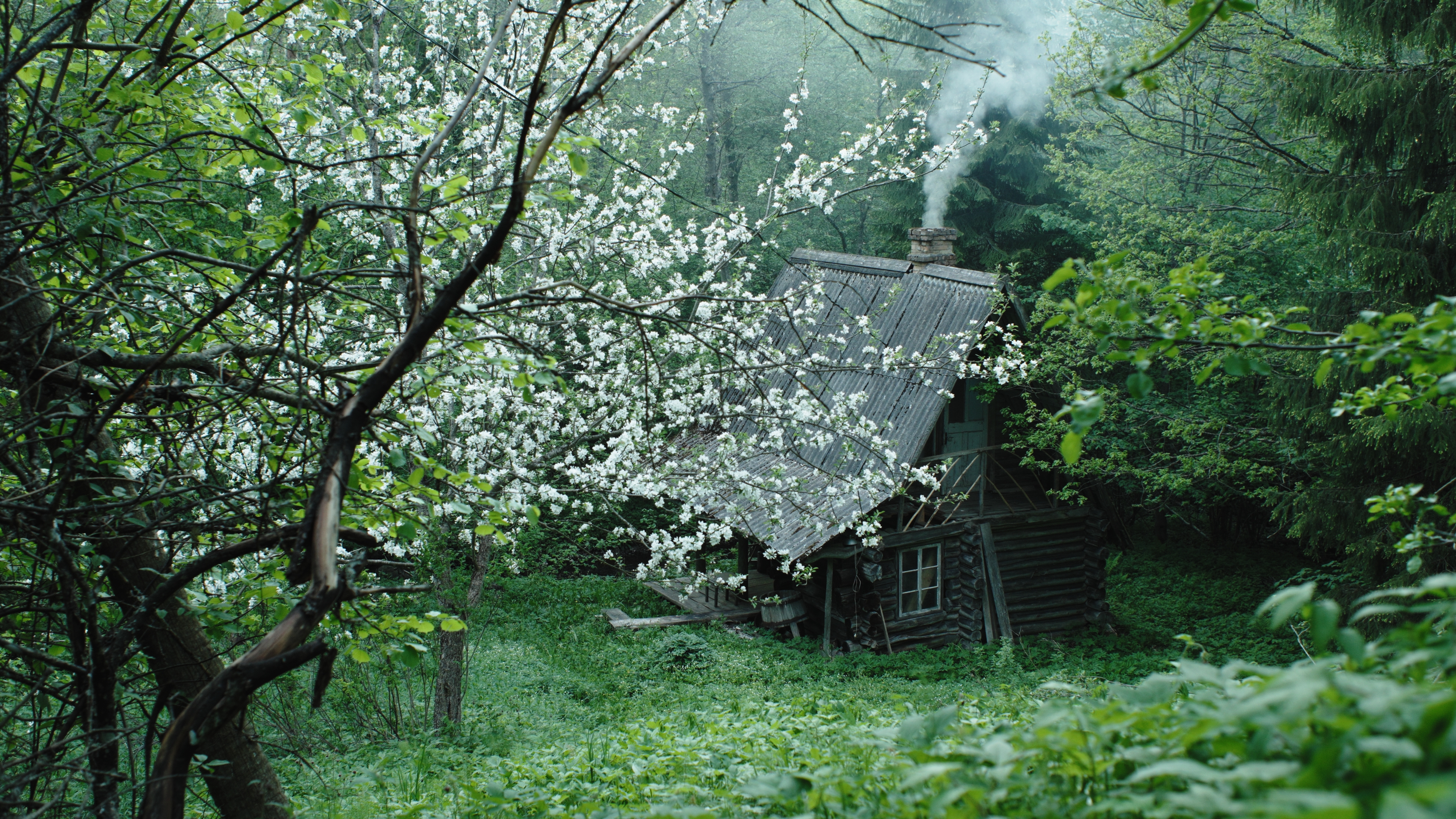 Laksumine Orgu Still5