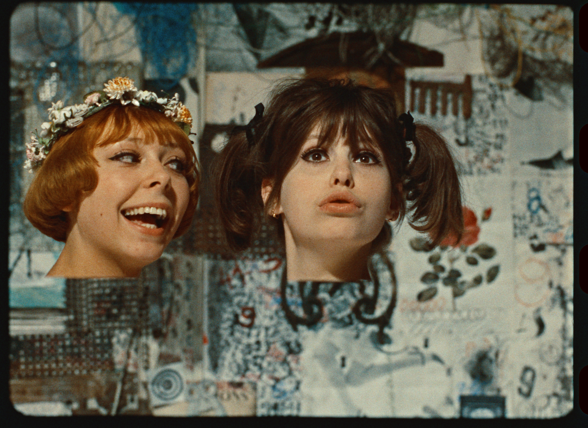 Sedmikrasky Fotky Dra Rec1886 0168746