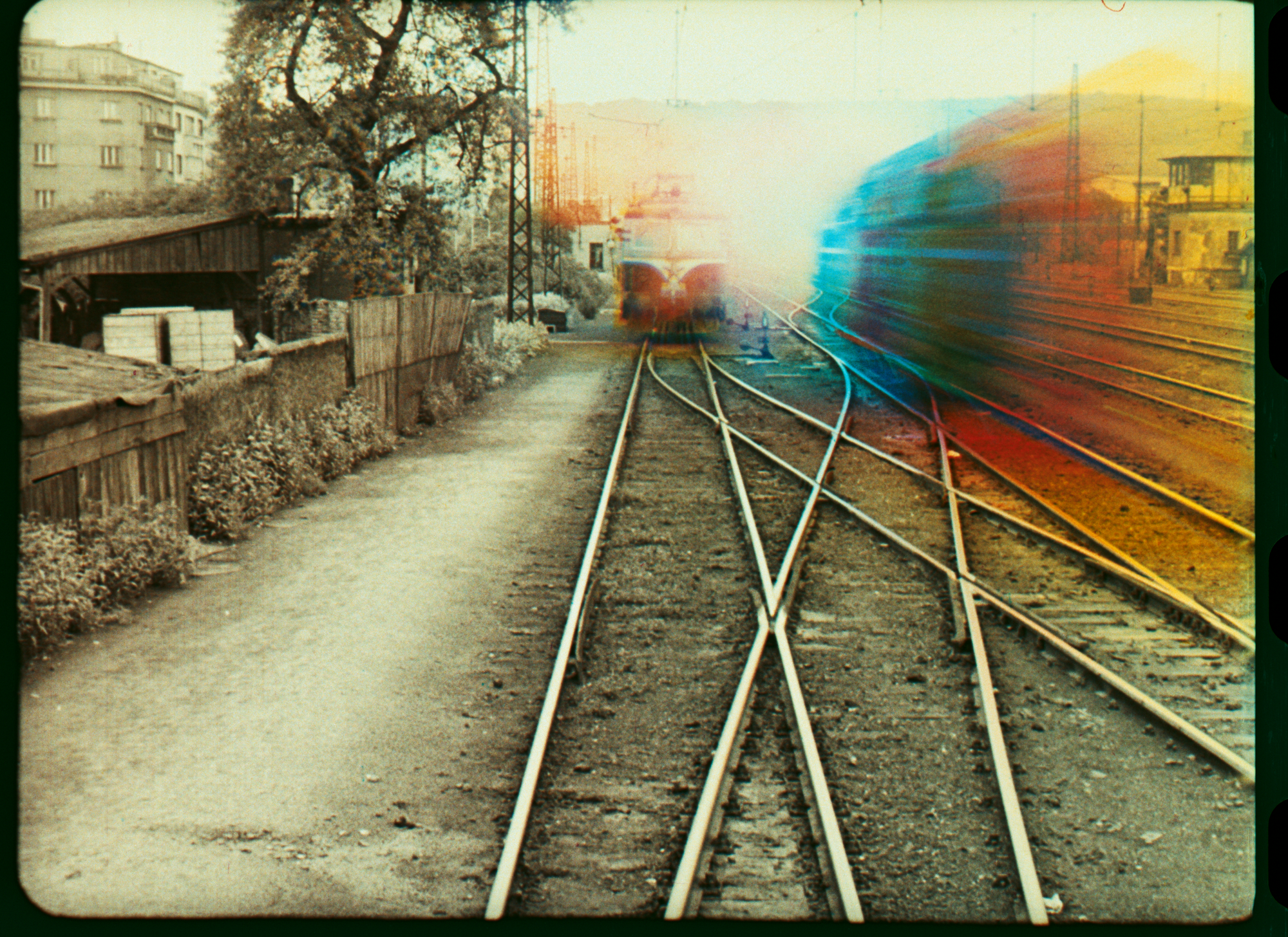 Sedmikrasky Fotky Dra Rec1886 0106632