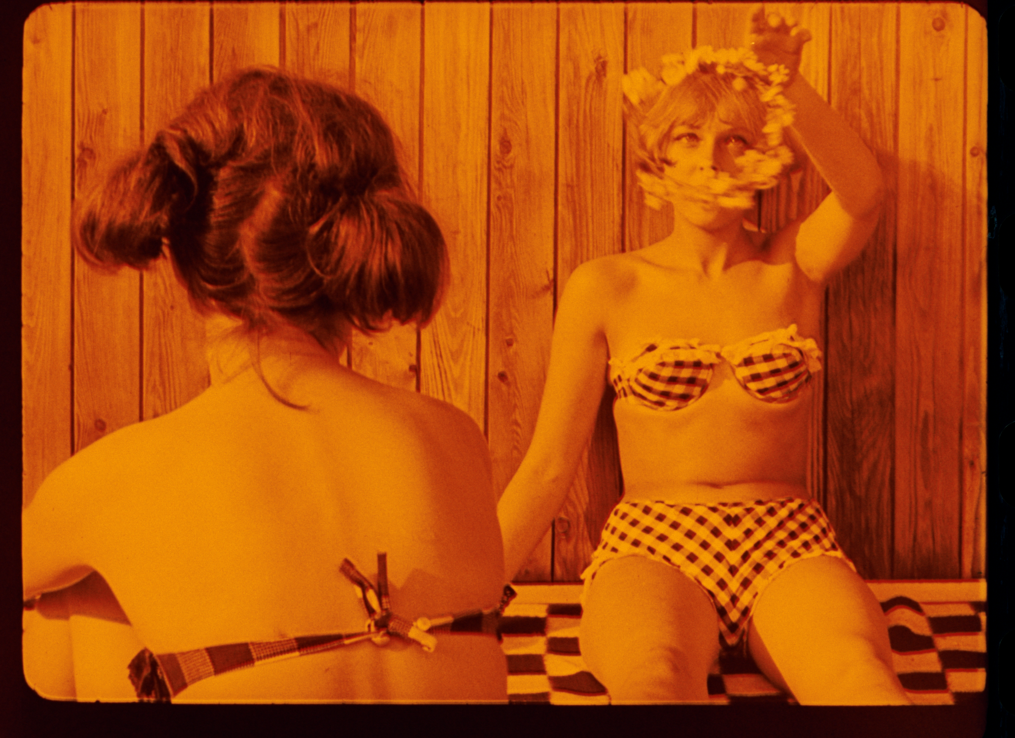 Sedmikrasky Fotky Dra Rec1886 0094256