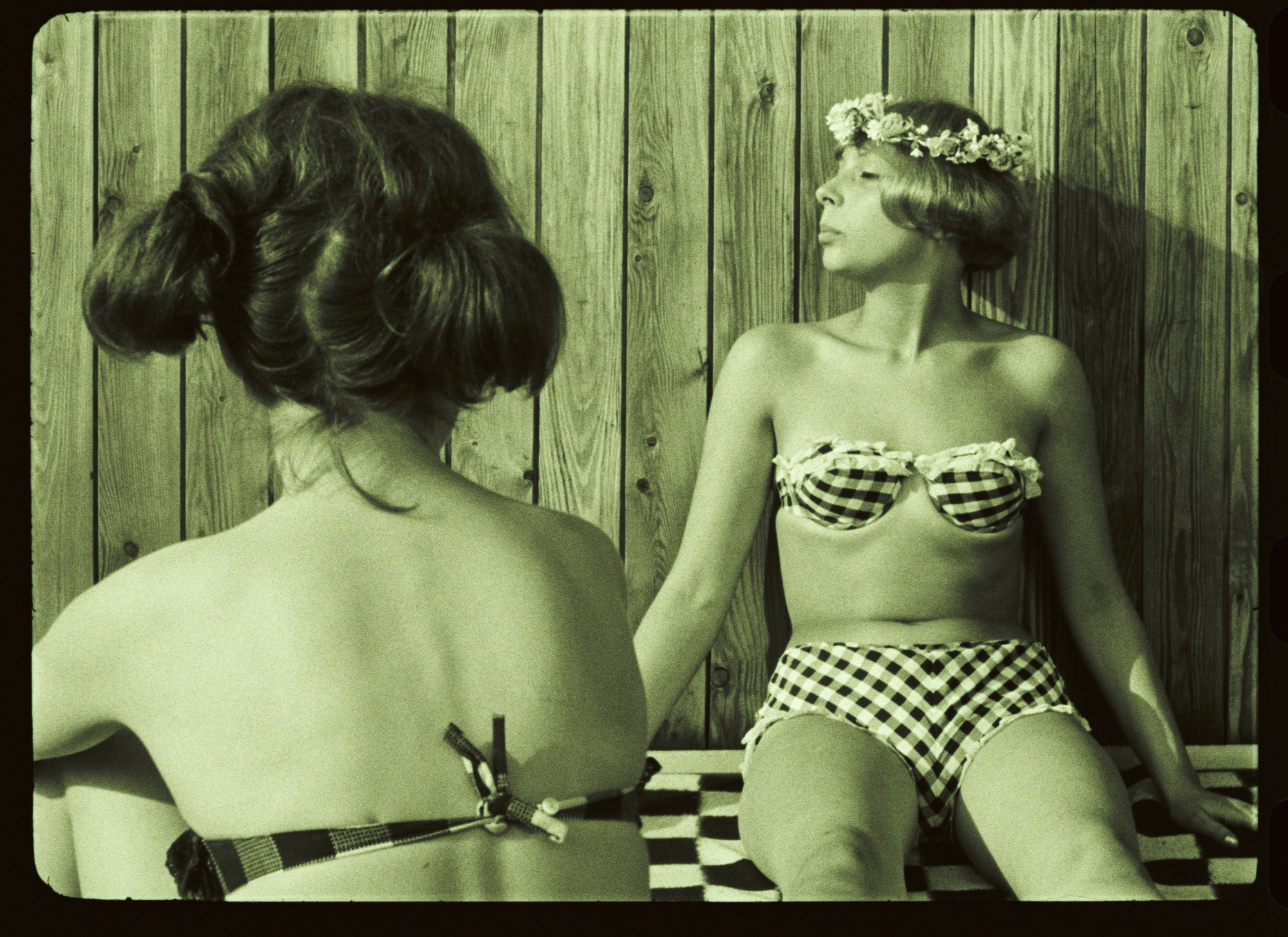 Sedmikrasky Fotky Dra Rec1886 0094011