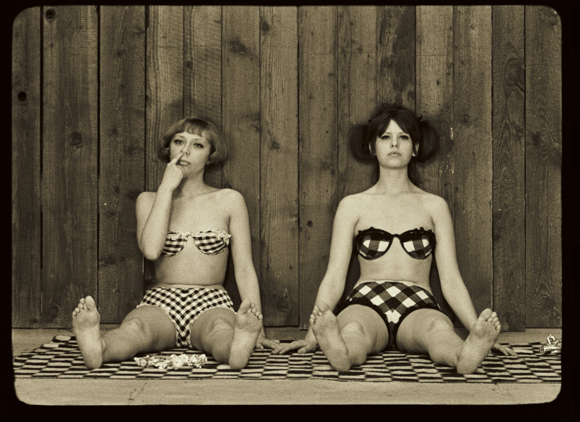 Sedmikrasky Fotky Dra Rec1886 0089312