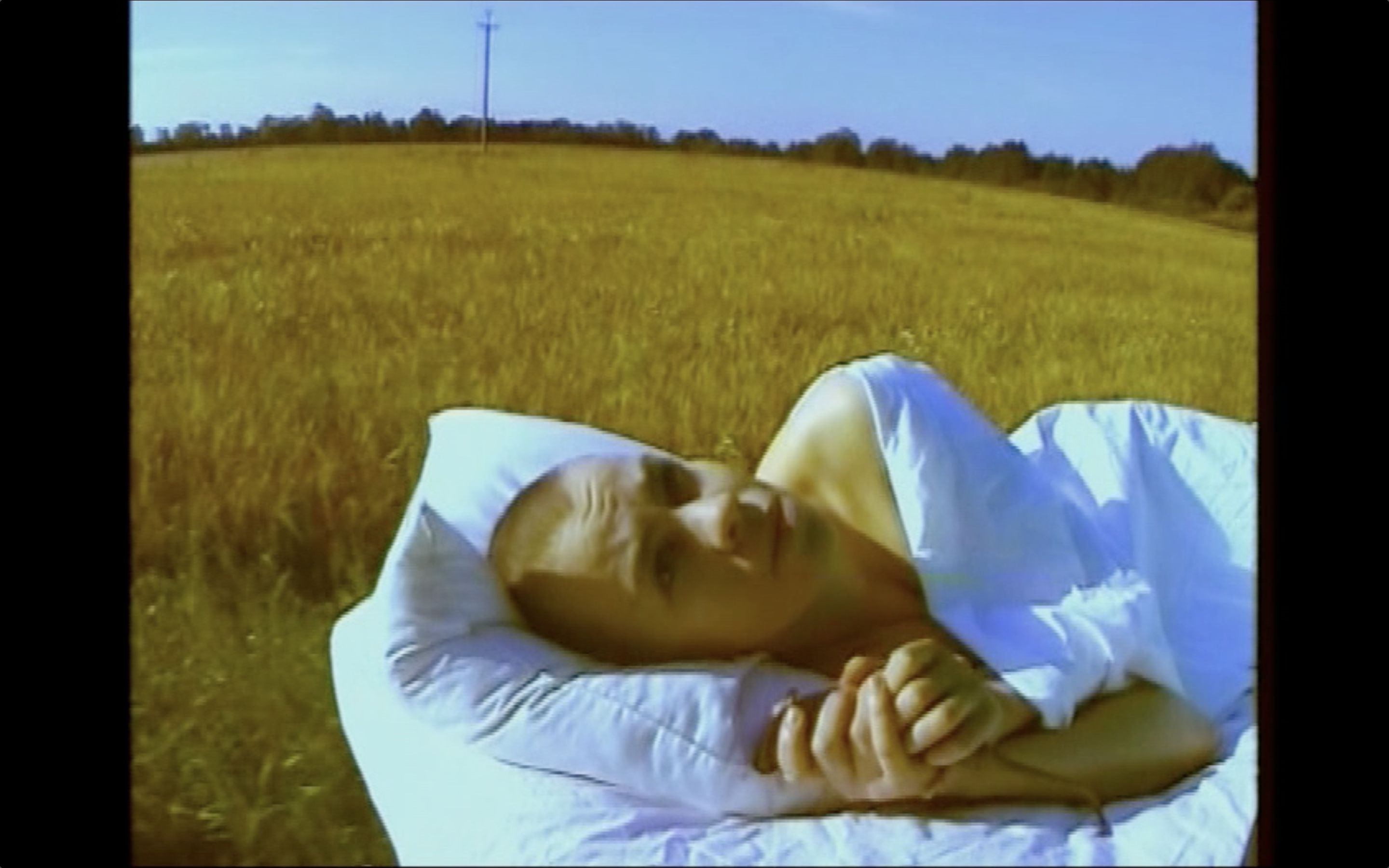 Screenshot 2024 08 17 At 12.39.31